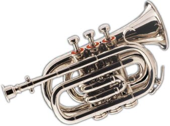 Cornet à pistons