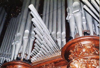 Tuyaux d'orgue "en chamade"