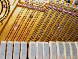 Les cordes du piano