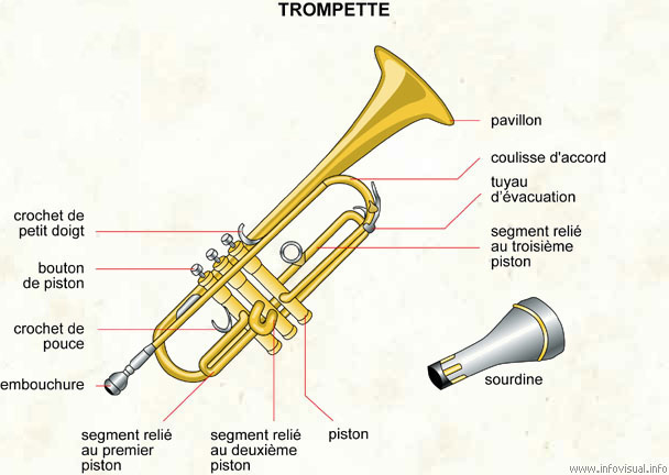 Les parties de la trompette