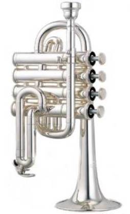 Trompette piccolo
